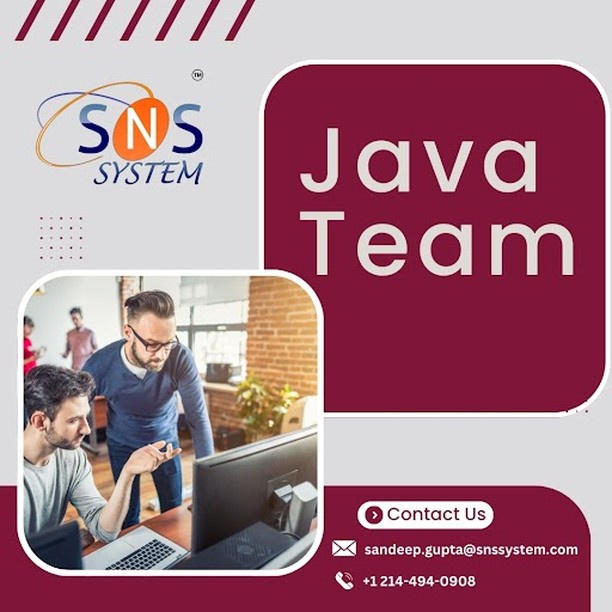 🚀 Unlock the Power of Java Development with SNS System! 🚀