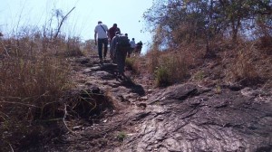 Embark on Thrilling Hiking Safaris Across Uganda