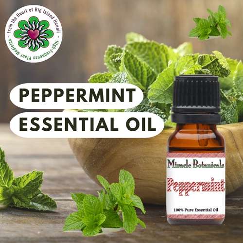 Exploring the Skin-Nourishing Potential of Peppermint Essential Oil