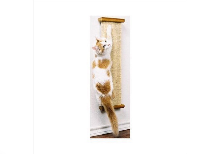 Scratch That Itch: The Ultimate Cat Scratching Post Guide