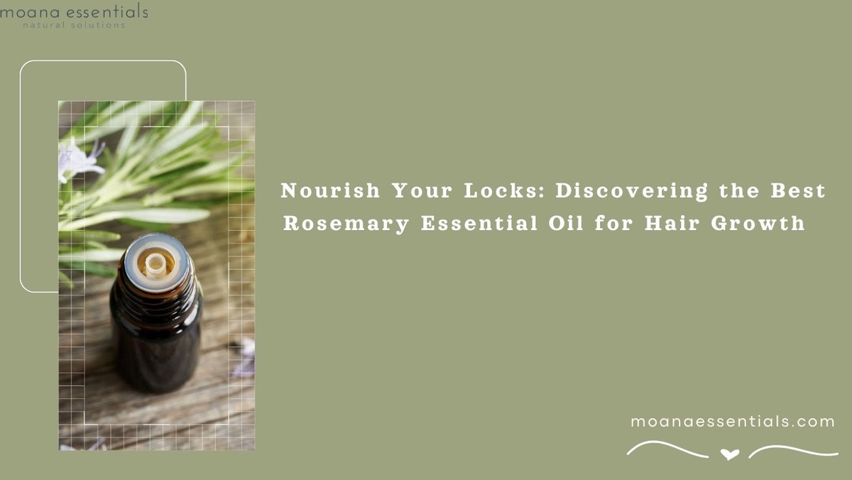 Understanding the Role of Rosemary Essential Oil in Hair Care and Growth