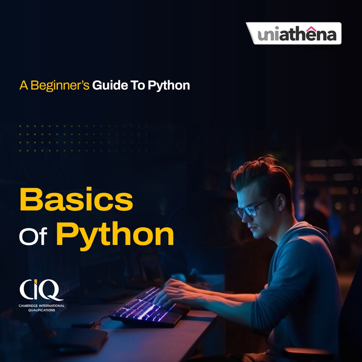 A Beginner’s Guide To Python - UniAthena