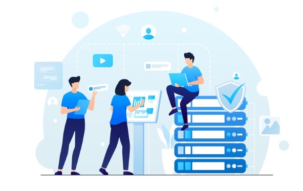 Evaluating the Pros and Cons of Host.co.in's Reseller Hosting