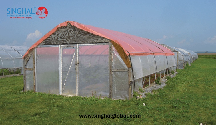 Improving Food Security with Greenhouse Film: Advantages for Small-Scale and Commercial Farmers