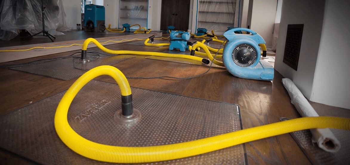Can Dehumidification Services Improve Indoor Air Quality?