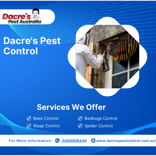 Bee Gone: Trust Dacres Pest Control for Effective Bee Removal