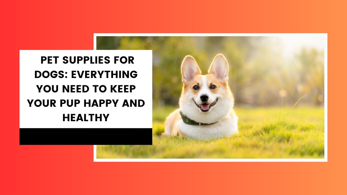 Pet Supplies for Dogs: Everything You Need to Keep Your Pup Happy and Healthy