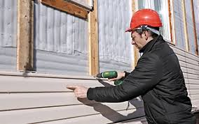 Eco-Friendly Options: Sustainable Vinyl Siding Choices for Red Door Houses