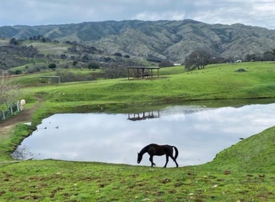 California Horse Boarding: Find Pasture & Ranch Near You