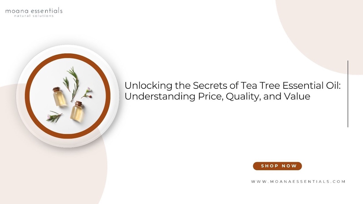Tea Tree Essential Oil Price Guide: Quality and Affordability