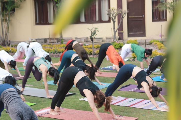 From Asana to Awakening: A Realistic View of 200-Hour Yoga Teacher Training in Goa