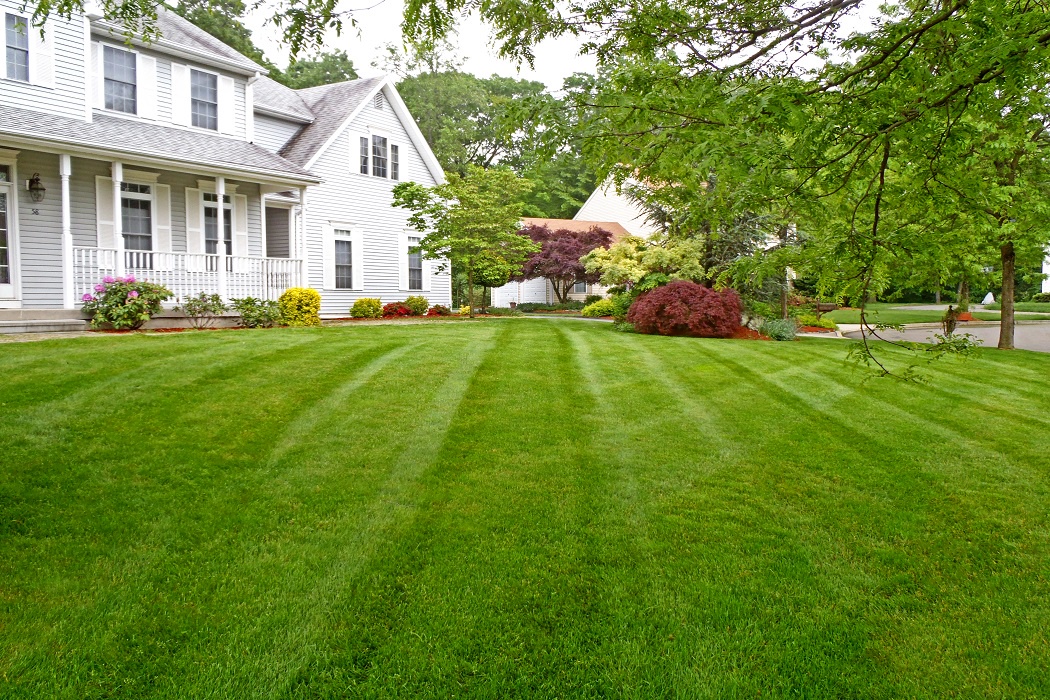 The Importance of Proper Watering in Lawn Care: Tips and Tricks