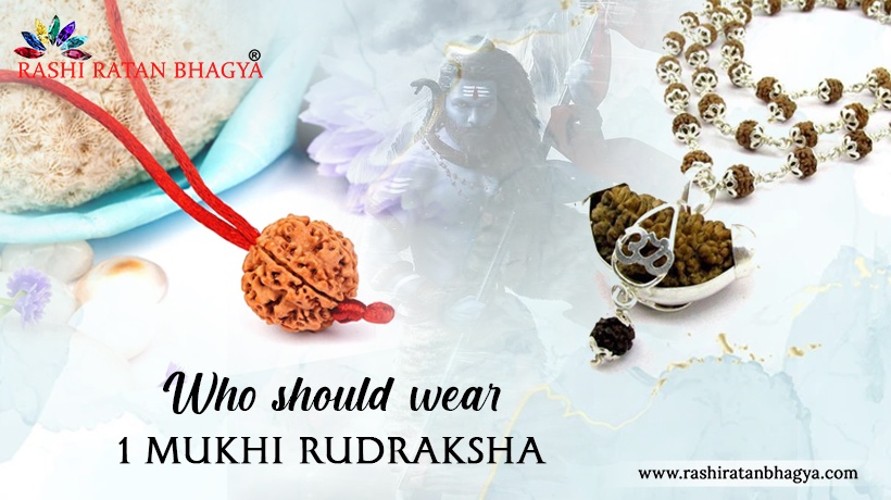 Buy Certified 1 Mukhi Rudraksha Online in India