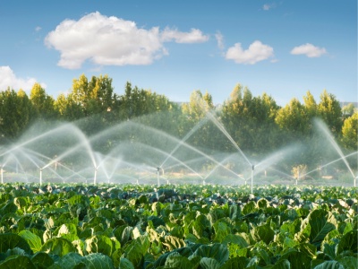 Commercial Irrigation Systems in Westchester County