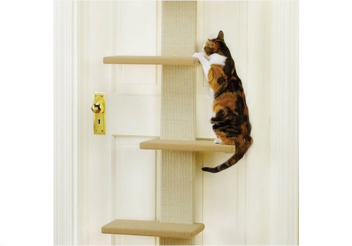 Smart Cat Scratching Post: Innovative Solutions for Your Feline's Entertainment