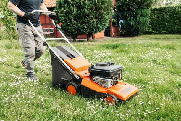 Spotting Signs of Damage in the Best Lawn Mower Blades in Ryland Heights and How to Fix It!