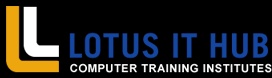 Unlock Data Insights: Power BI Classes at Lotus IT Hub