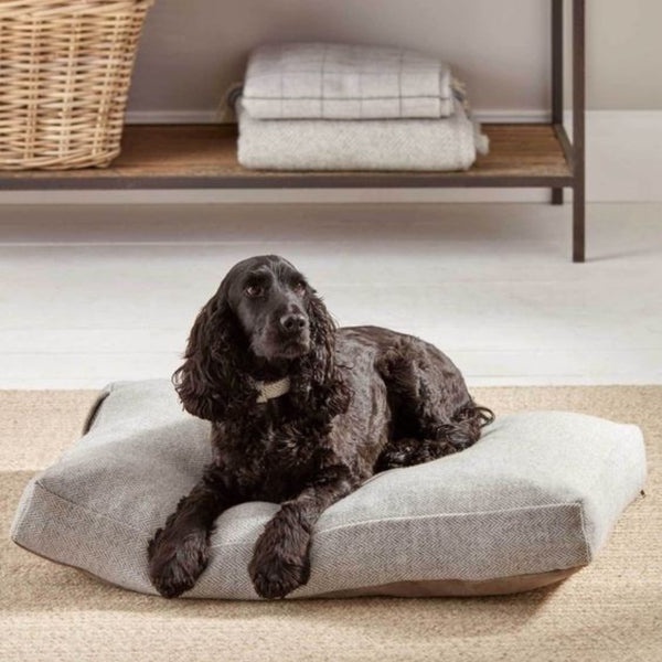 The Tranquil Haven: Unveiling the Benefits of the Calming Dog Bed