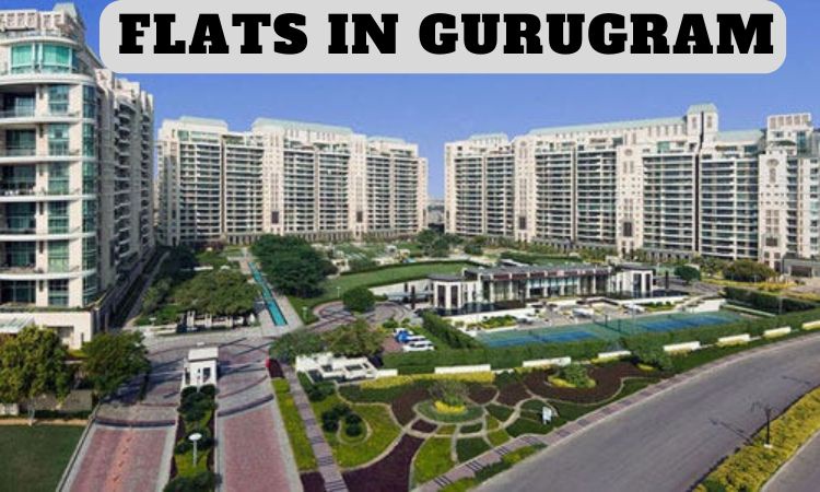 Flats in Gurugram | 2/3/4/5 BHK Flats For Sale