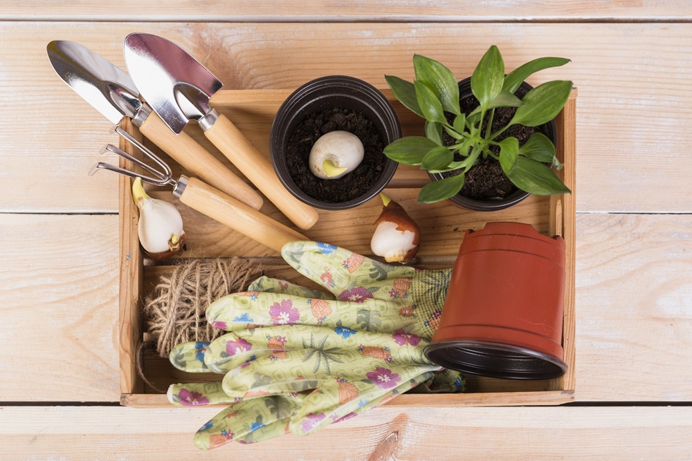 Get Gardening Tools: Elevate Your Garden with 3-in-1 Mini Gardening Tools Kit