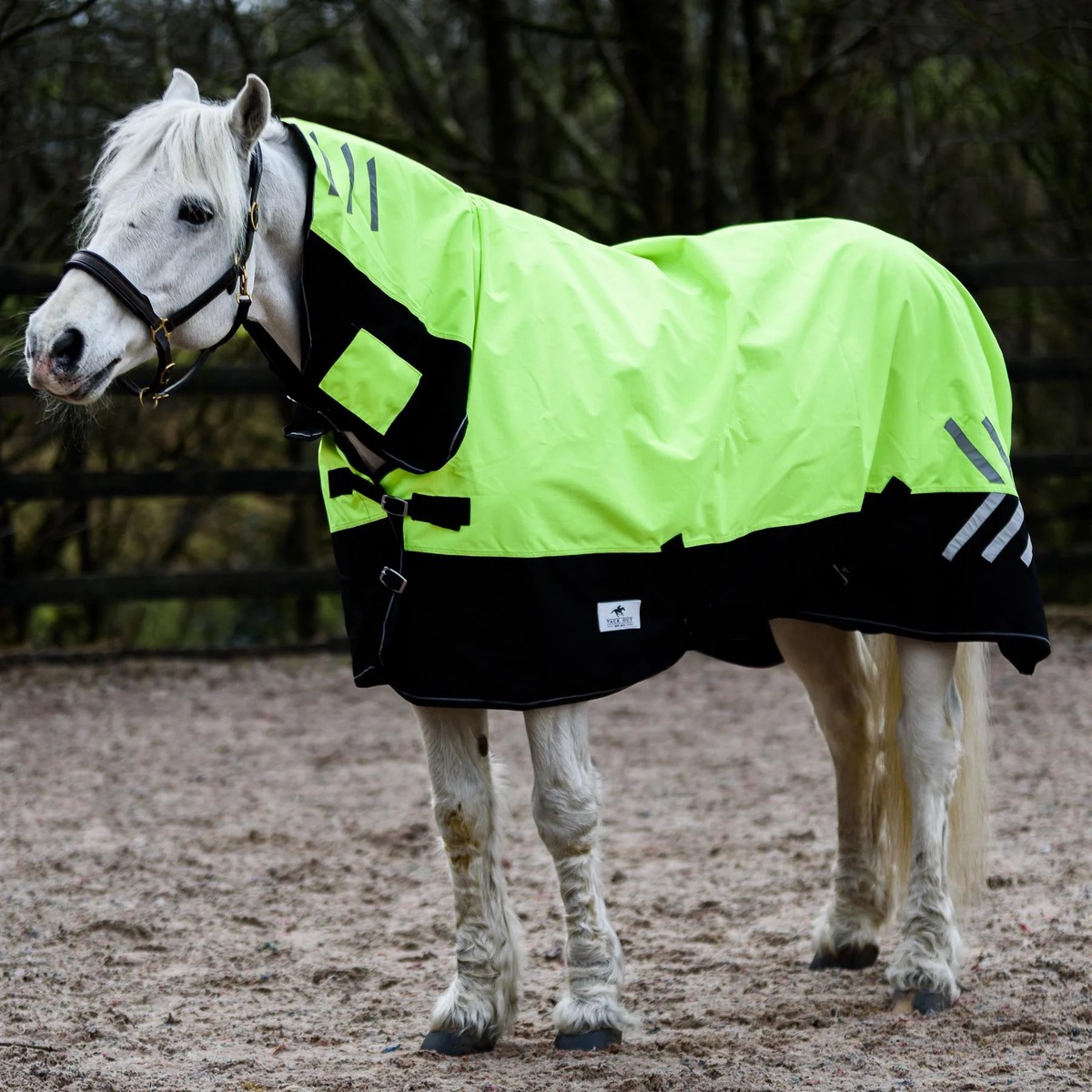 Lightweight Turnout Rugs: The Best Choice for Your Horse