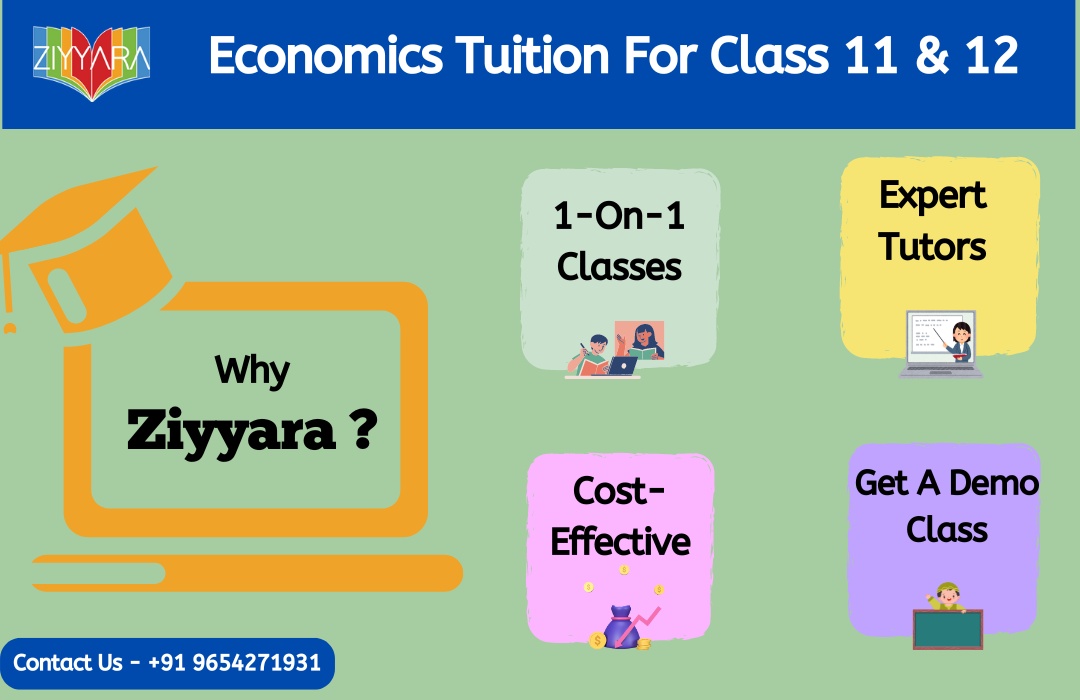 Affordable 1-on-1 Online Economics Tuition for 11th & 12th Classes - Ziyyara