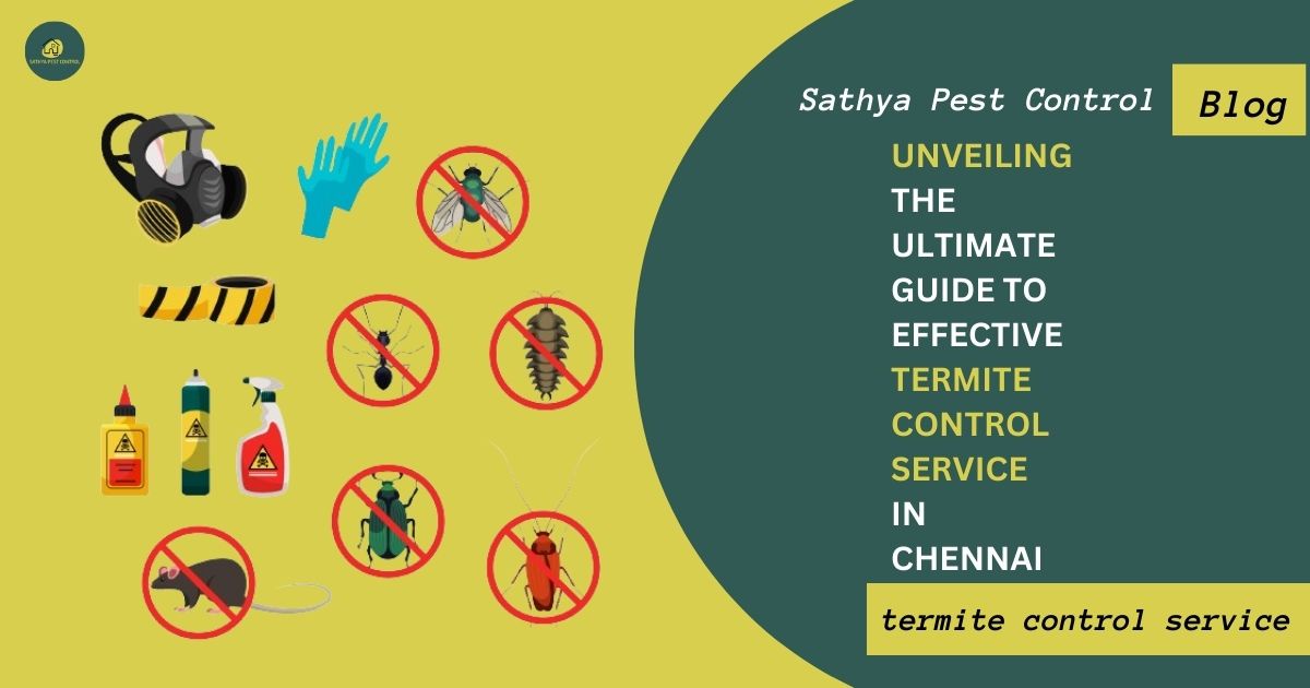 The Definitive Guide to Effective Termite Control Services in Chennai