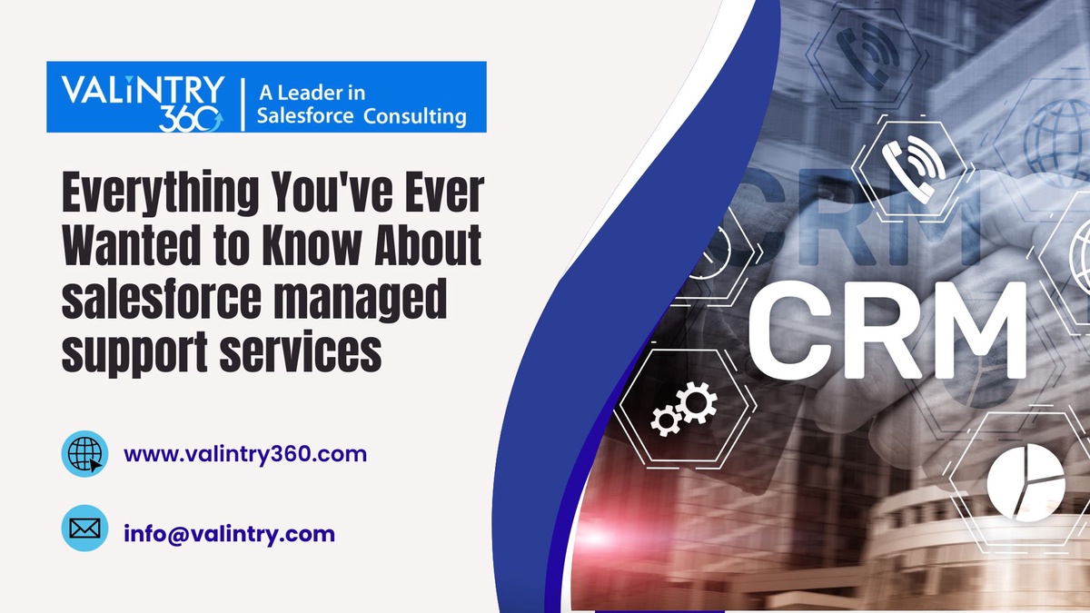 Everything You've Ever Wanted to Know About salesforce managed support services – VALiNTRY360