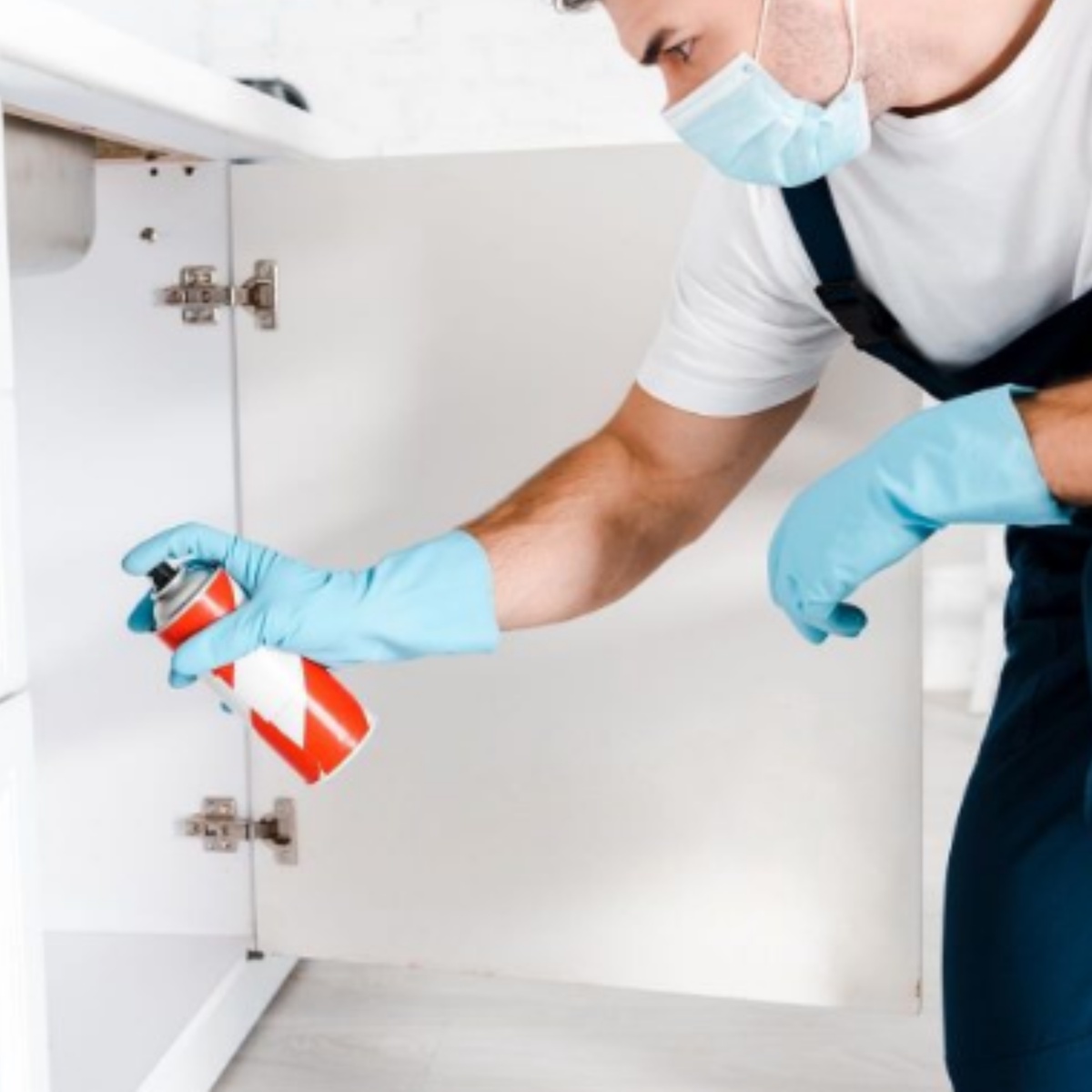 Best Residential Pest Control Services For Your Home And Buildings