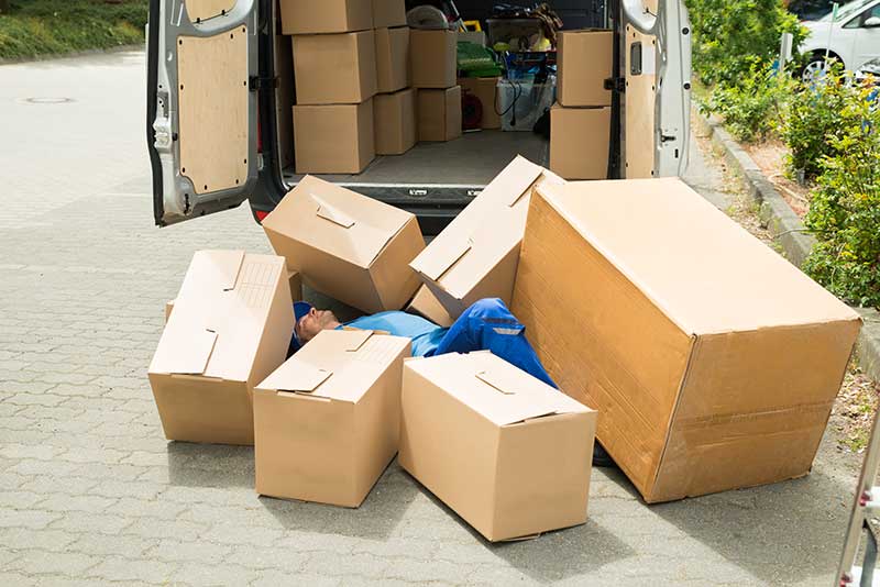 Don't Sweat the Haul! Reliable Removal Vehicles Delivered to