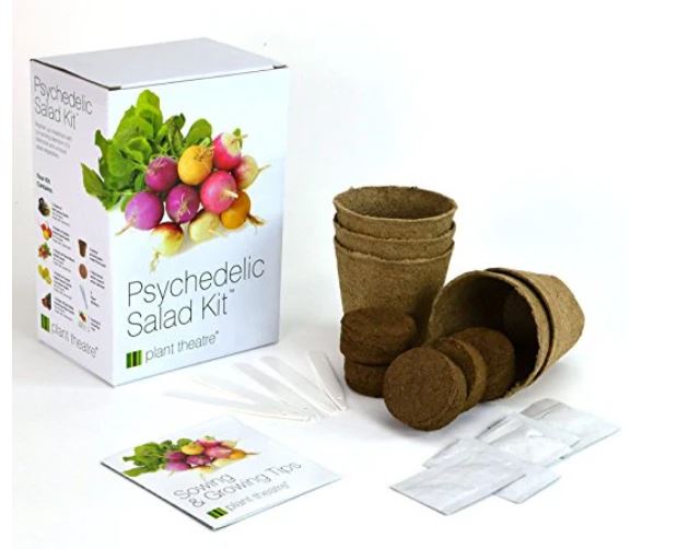 Grow Your Own Psychedelic Salad Garden with NBU Flowers' Plant Theatre Kit