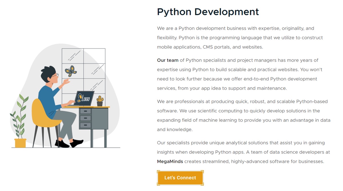 Hire Certified Python Developers