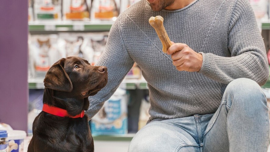 Unleash Your Inner Athlete: Exercise Equipment from the Dog Shop Gym
