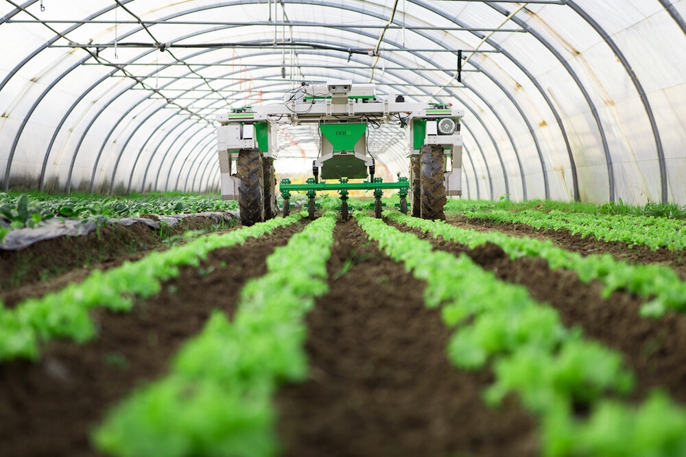 What Makes Sustainable Farming Products Essential?