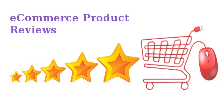 Maximizing Product Success Through In-Depth Review Analysis