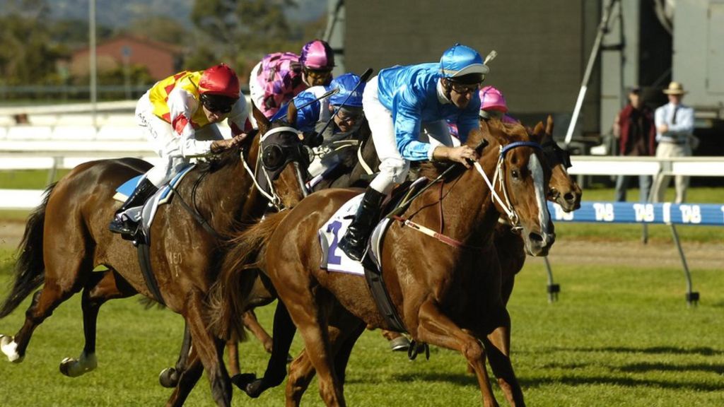 A Beginner's Guide to Investing in Racehorse Shares