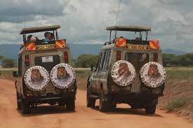 Top National Parks and Game Reserves in Kenya: A Wildlife Wonderland Awaits