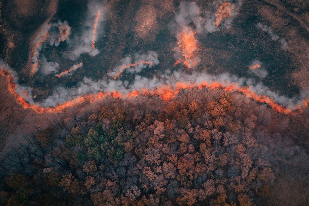 High-Resolution Hyperspectral Satellites: Pioneering Wildfire Management