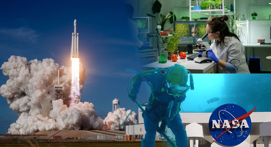 Digital Impact: SEO in the Environmental Industry