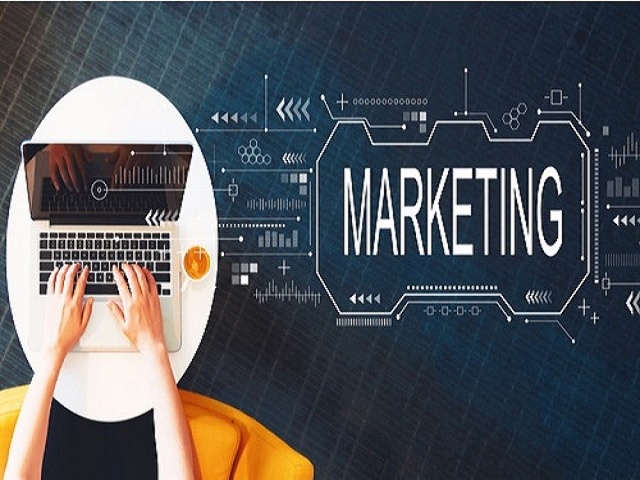 The Impact of Digital Marketing on Software Services