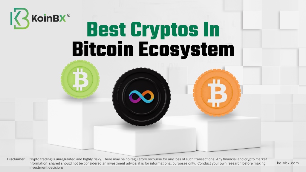 Top Bitcoin Ecosystem Tokens to Invest in 2024
