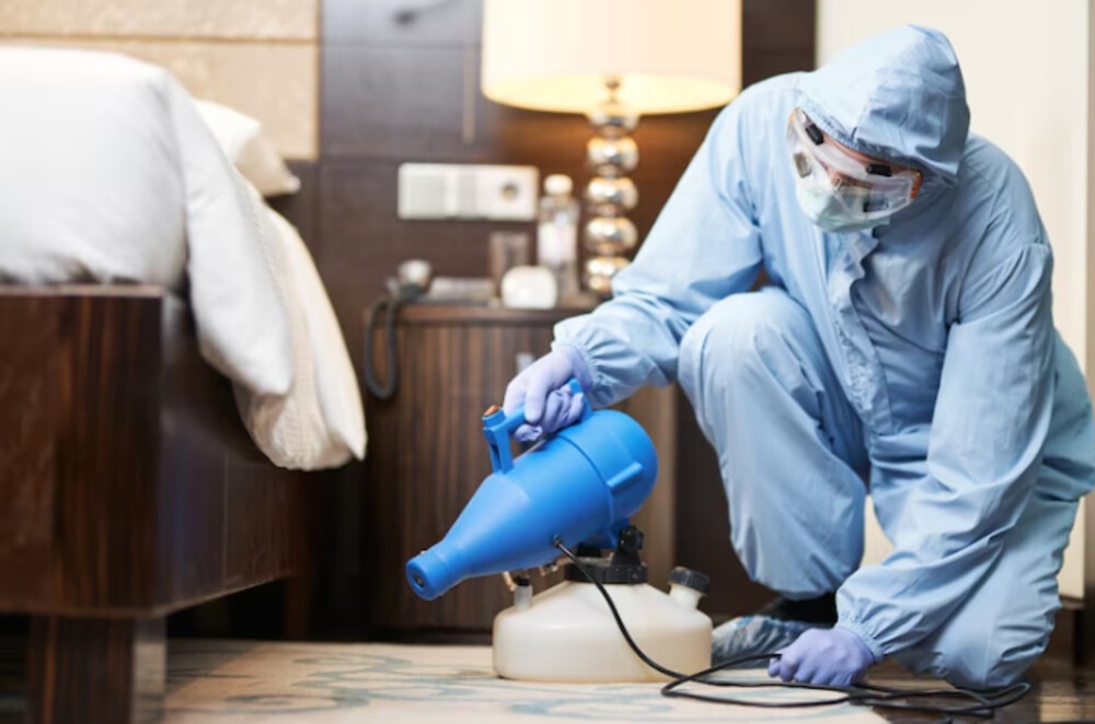 The Complete Solution to Selecting the Best Pest Control Bradford.