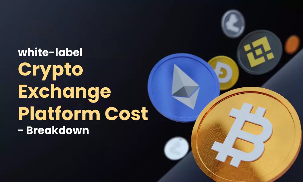 white-label Crypto Exchange Platform Cost - Breakdown