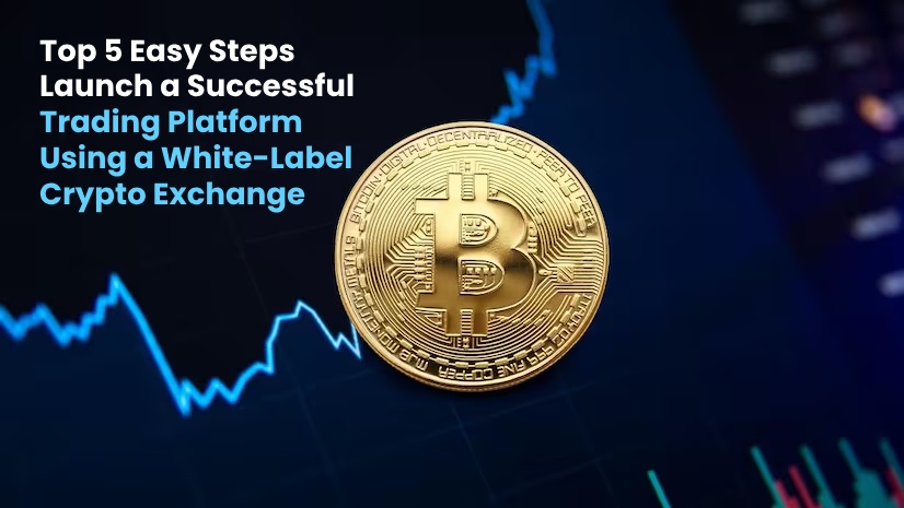 Top 5 Easy Steps: Launch a Successful Trading Platform Using a White-Label Crypto Exchange