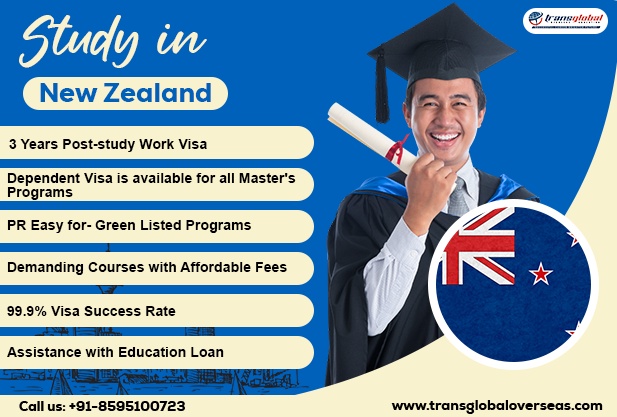 Your Guide to New Zealand Study Visa Consultants