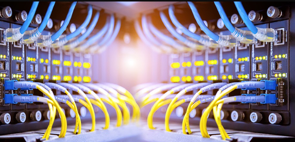 How Does a Network Switch Differ from a Router?