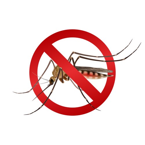 How to Protect Your Home from Mosquito control Service in Singapore