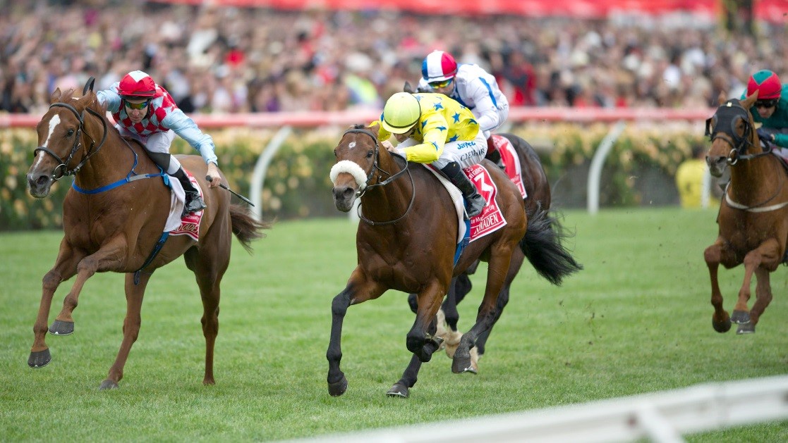 Investing in Speed: Your Guide to Buying a Racehorse