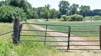 Understanding Title Defects and Their Implications for Property Owners