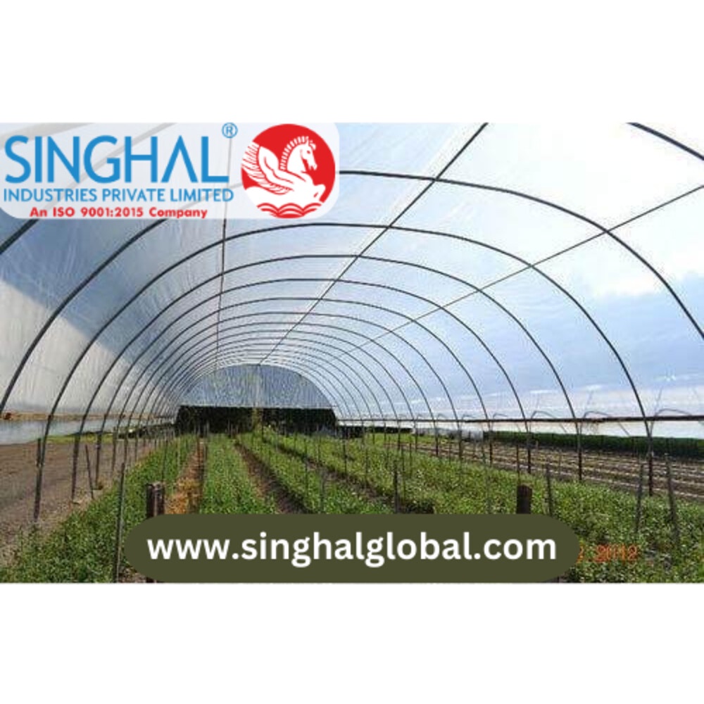 The Role of Light Transmission in Greenhouse Films